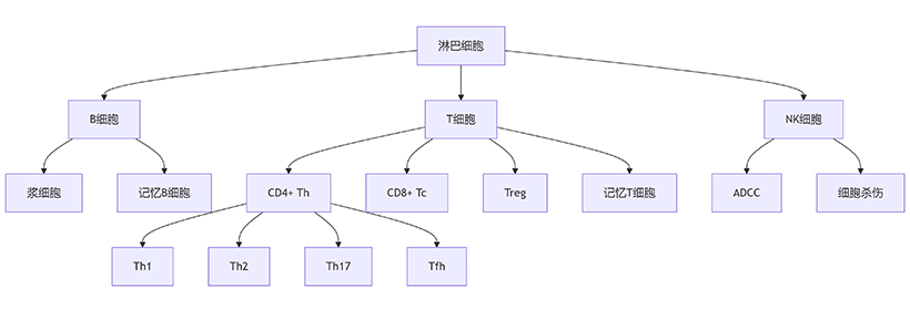 淋巴細(xì)胞亞群