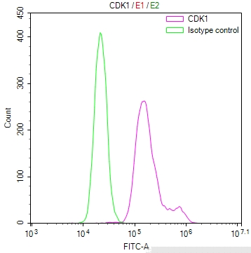 CSB-RA954261A0HU