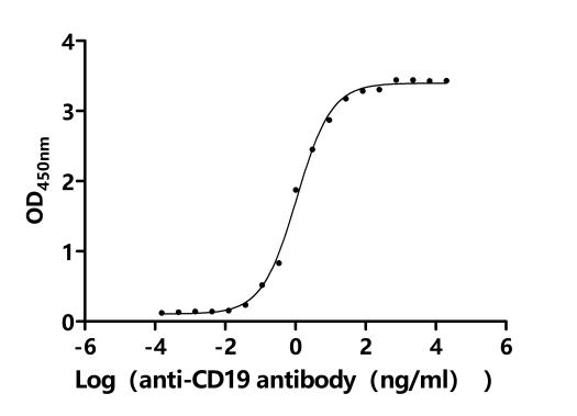CSB-MP004888HUk7-B