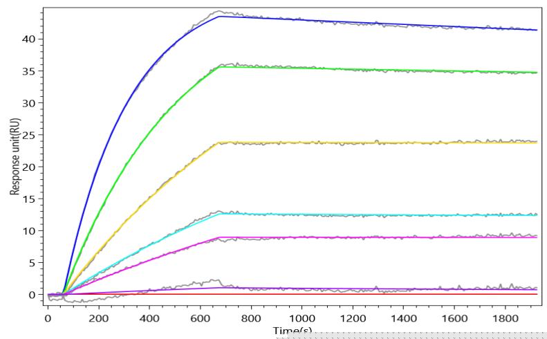 CSB-MP004913HU1d7
