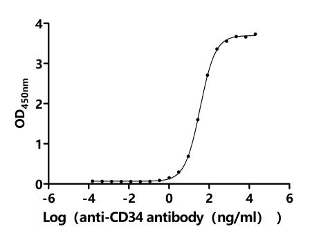 CSB-MP004926HU