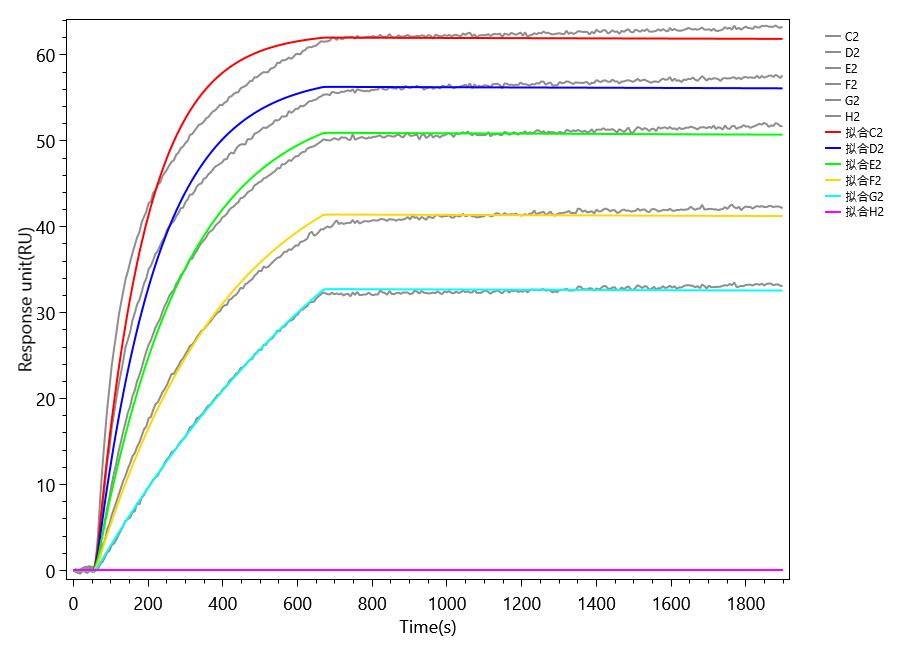 CSB-MP006049HU(F2)