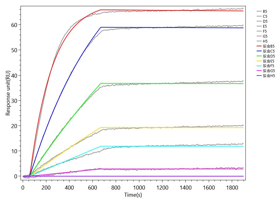 CSB-MP008629HU1(M)