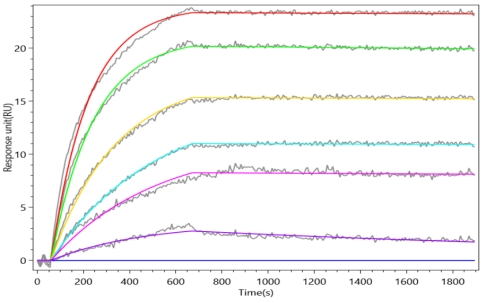 CSB-MP010144HU1