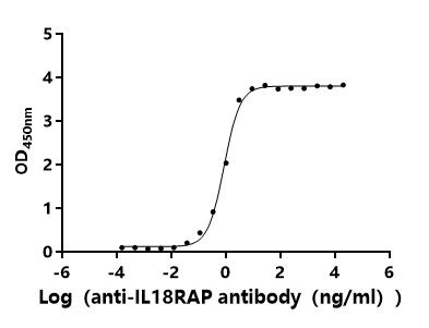 CSB-MP011611HU1