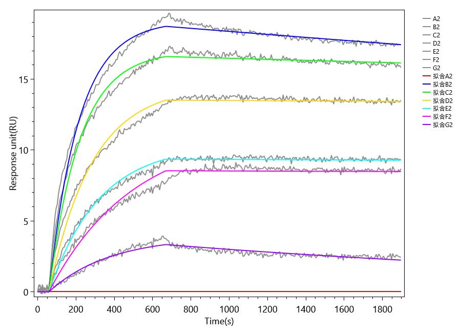 CSB-MP023994MO1b0