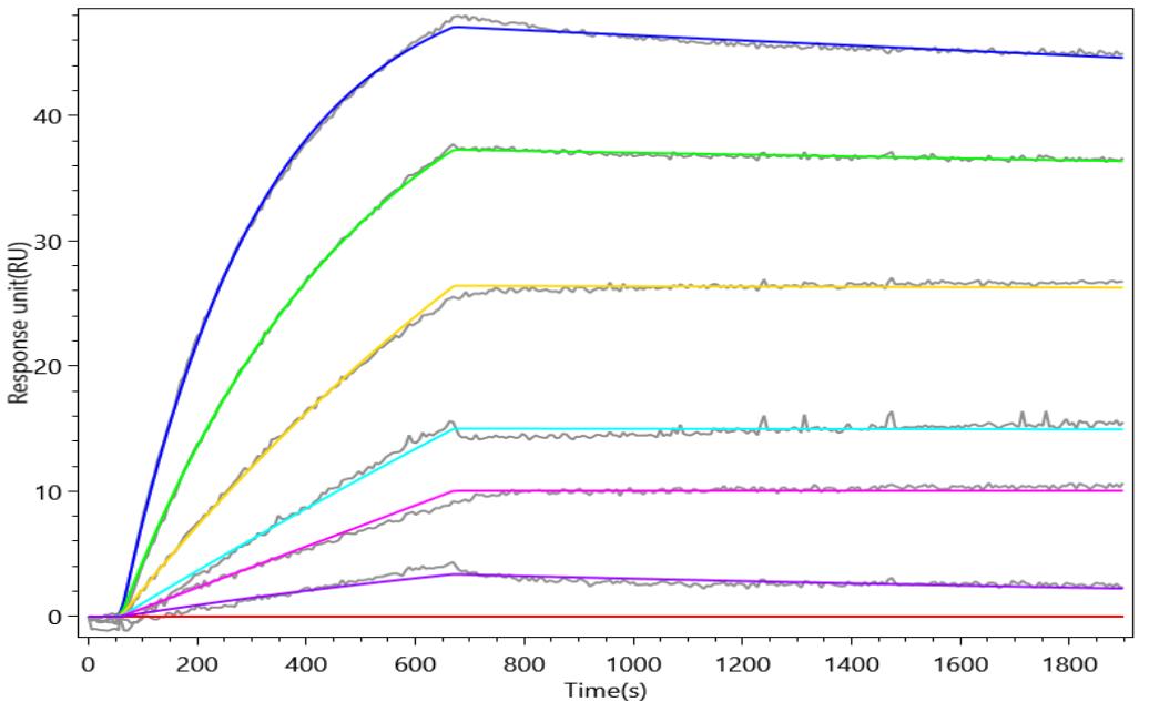 CSB-MP7605MOV