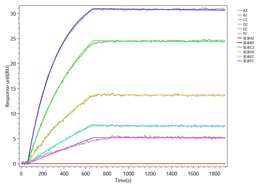 CSB-MP860321HU3