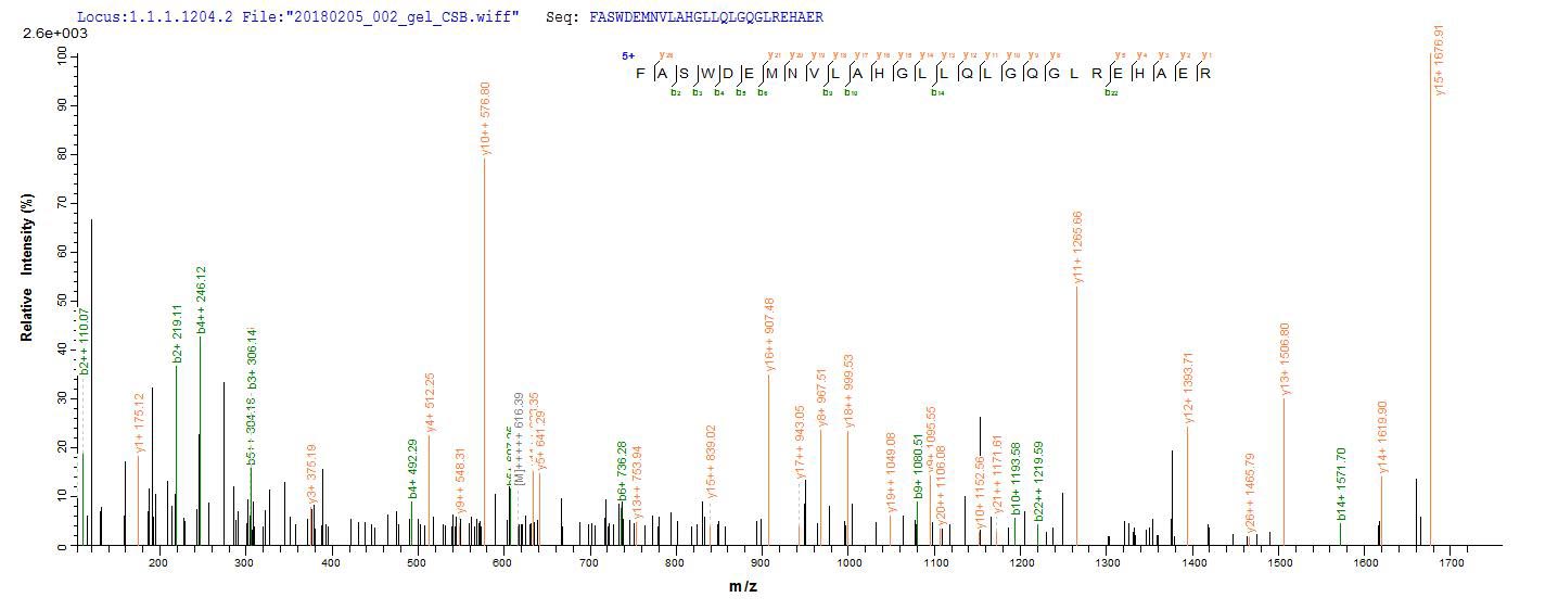 CSB-EP866314HU1 Validated Data