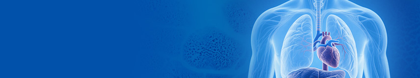 系統(tǒng)性硬化癥