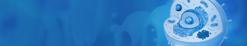 細(xì)胞代謝類ELISA試劑盒