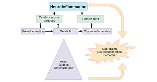神經(jīng)炎癥的來(lái)源