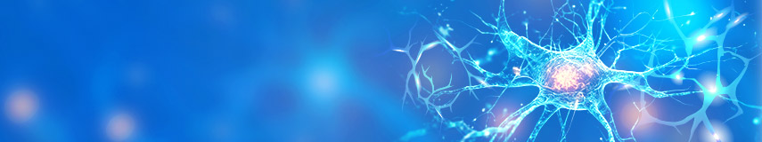 神經(jīng)/腦科學研究相關(guān)ELISA試劑盒