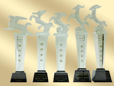 連續(xù)多年被評(píng)為“瞪羚企業(yè)”